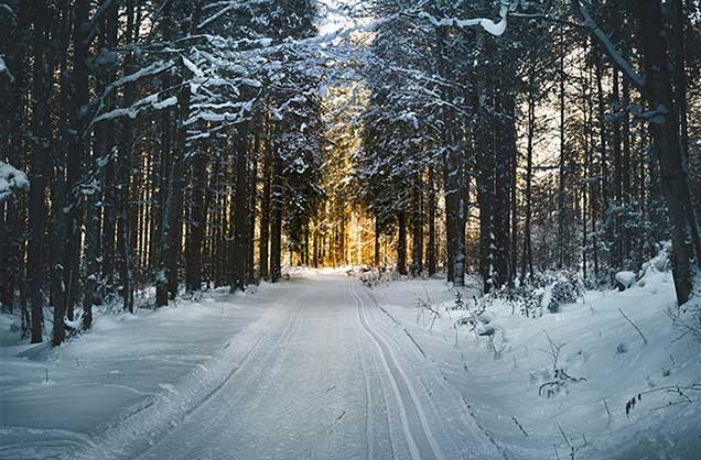 Shipping a Car in the Winter